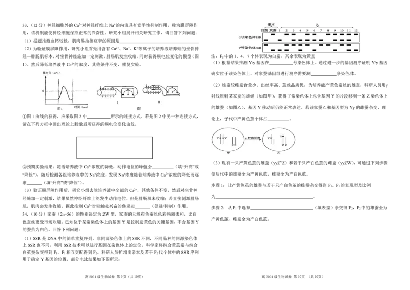 南充高中高20024级高二上学期第一次月考（生物试题）_2025年10月高二试卷_251018四川省南充高级中学2025-2026学年高二上学期10月月考试题（全）