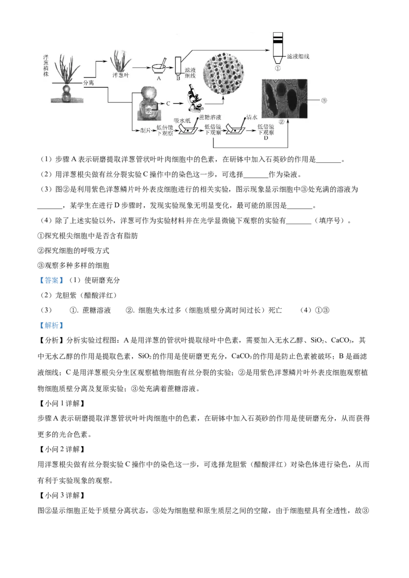江苏省徐州市铜山区2024-2025学年高二上学期11月期中调研生物试题Word版含解析_2024-2025高二（7-7月题库）_2024年12月试卷_1217江苏省徐州市铜山区2024-2025学年高二上学期11月期中考试