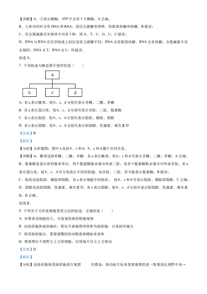江苏省徐州市铜山区2024-2025学年高二上学期11月期中调研生物试题Word版含解析_2024-2025高二（7-7月题库）_2024年12月试卷_1217江苏省徐州市铜山区2024-2025学年高二上学期11月期中考试