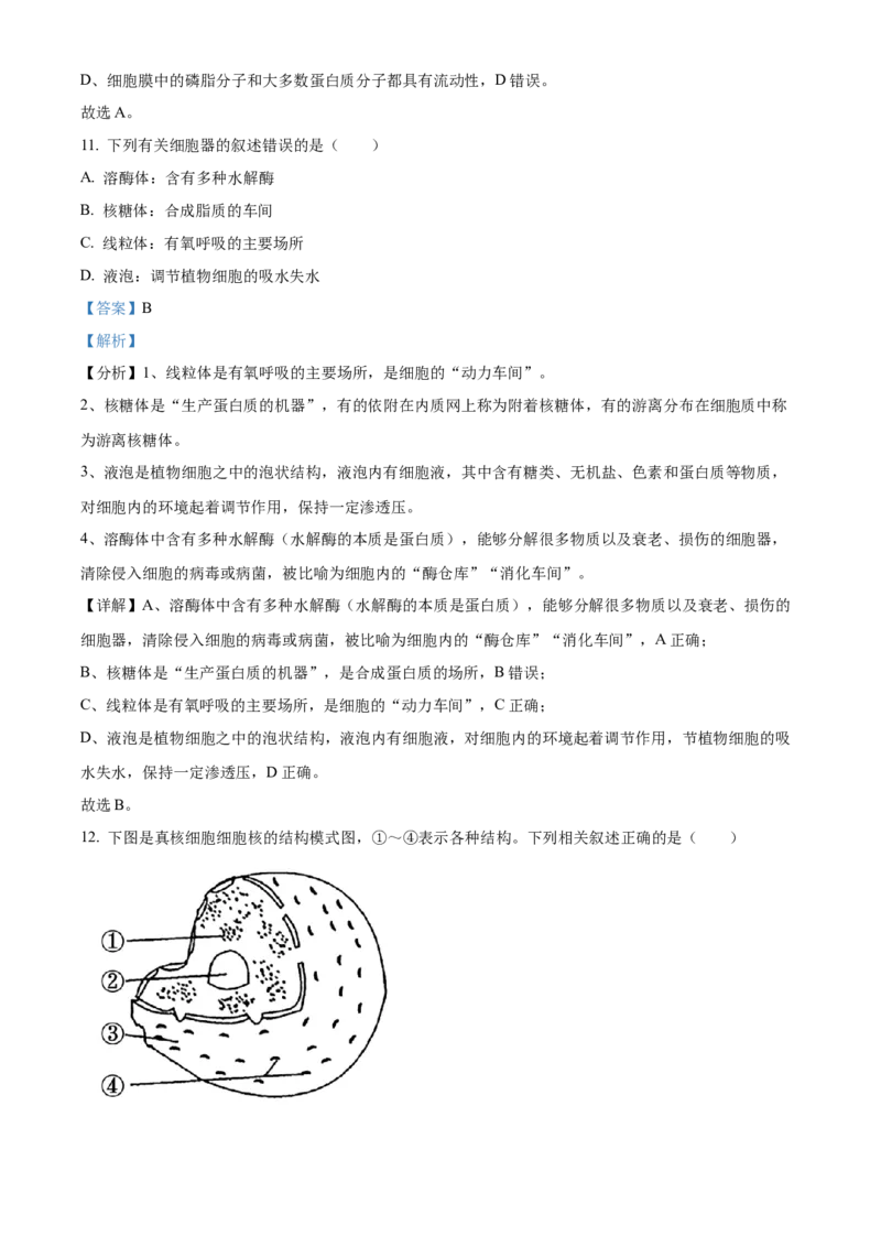 江苏省徐州市铜山区2024-2025学年高二上学期11月期中调研生物试题Word版含解析_2024-2025高二（7-7月题库）_2024年12月试卷_1217江苏省徐州市铜山区2024-2025学年高二上学期11月期中考试