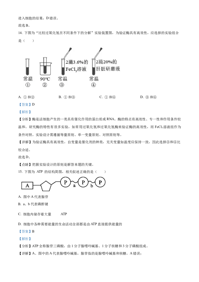 江苏省徐州市铜山区2024-2025学年高二上学期11月期中调研生物试题Word版含解析_2024-2025高二（7-7月题库）_2024年12月试卷_1217江苏省徐州市铜山区2024-2025学年高二上学期11月期中考试