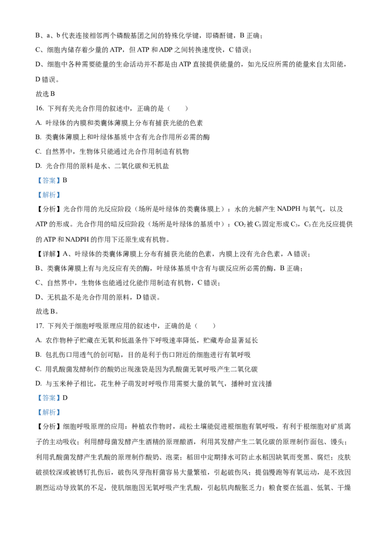 江苏省徐州市铜山区2024-2025学年高二上学期11月期中调研生物试题Word版含解析_2024-2025高二（7-7月题库）_2024年12月试卷_1217江苏省徐州市铜山区2024-2025学年高二上学期11月期中考试