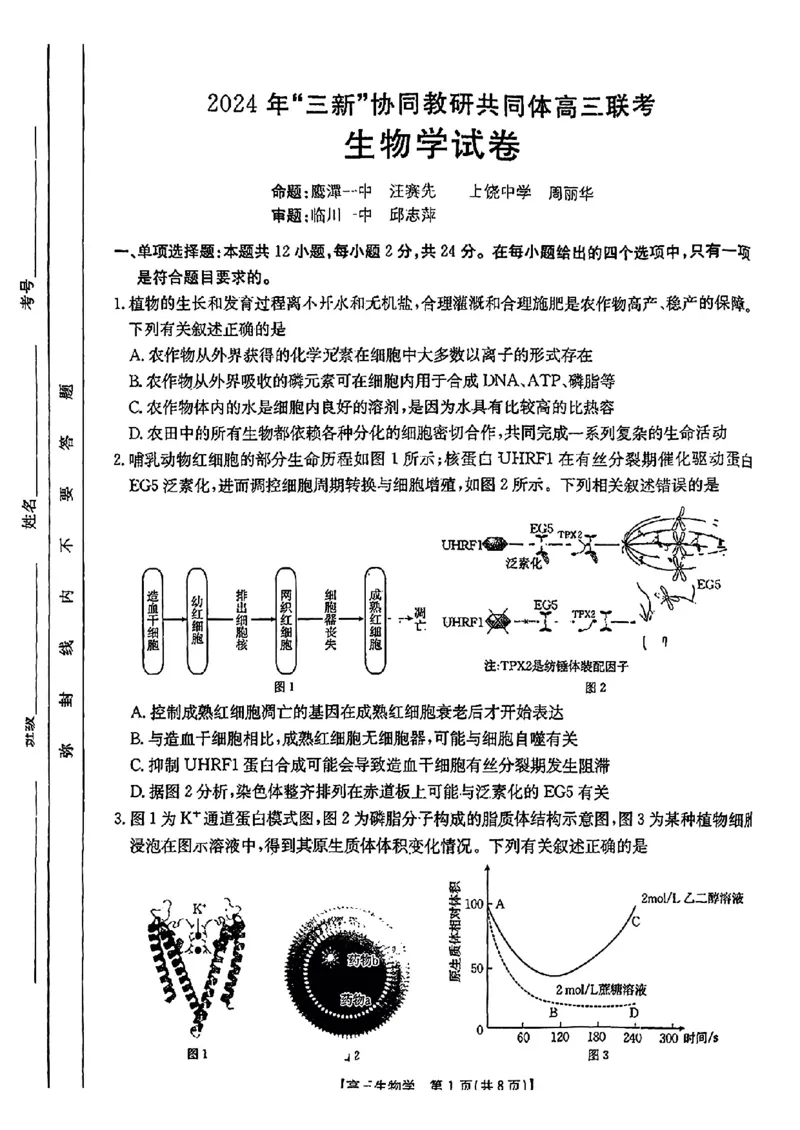 江西省2024年&ldquo;三新&rdquo;协同教研共同体高三12月联考生物试卷+答案_2024-2025高三（6-6月题库）_2024年12月试卷_1221江西省2024年&ldquo;三新&rdquo;协同教研共同体高三12月联考
