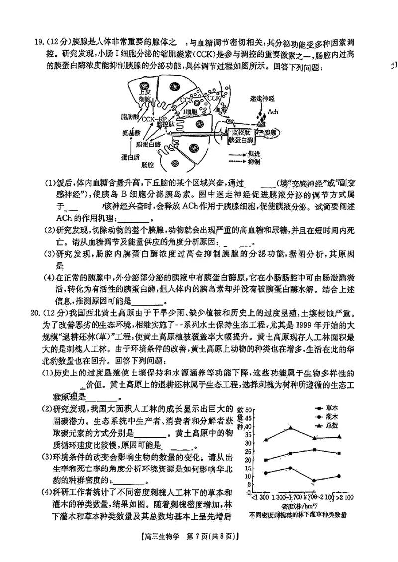 江西省2024年&ldquo;三新&rdquo;协同教研共同体高三12月联考生物试卷+答案_2024-2025高三（6-6月题库）_2024年12月试卷_1221江西省2024年&ldquo;三新&rdquo;协同教研共同体高三12月联考