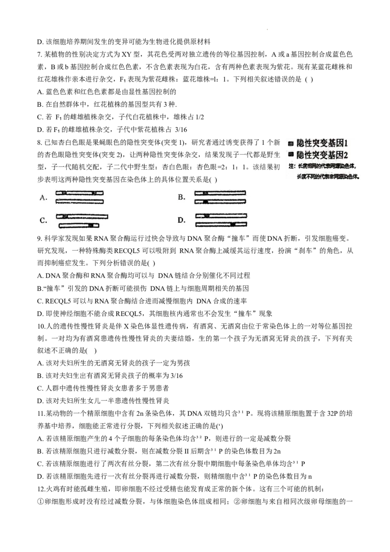 河南省商丘市第一高级中学2023-2024学年第一学期期中考试生物(1)_2023年11月_0211月合集_2024届河南省商丘市第一高级中学第一学期期中考试
