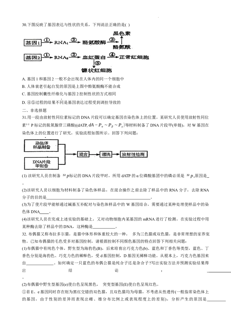 河南省商丘市第一高级中学2023-2024学年第一学期期中考试生物(1)_2023年11月_0211月合集_2024届河南省商丘市第一高级中学第一学期期中考试