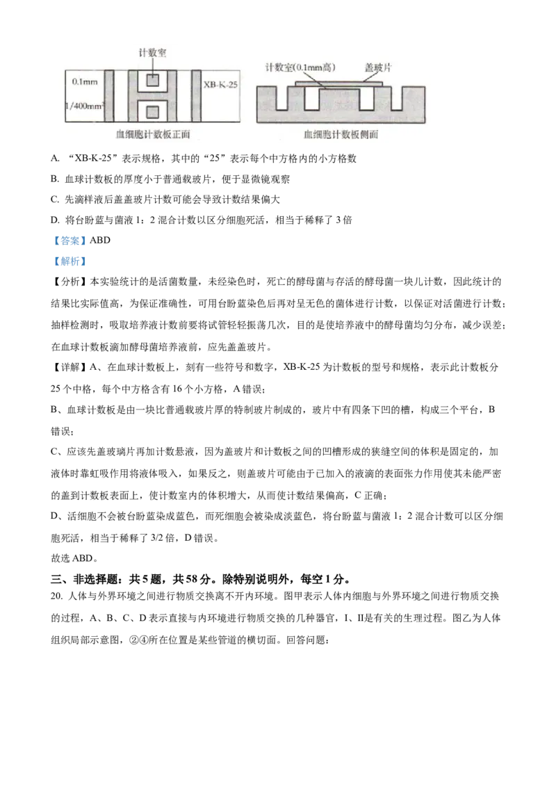 江苏省徐州市2024-2025学年高二上学期期中考试生物试题Word版含解析_2024-2025高二（7-7月题库）_2024年12月试卷_1214江苏省徐州市2024-2025学年高二上学期期中考试