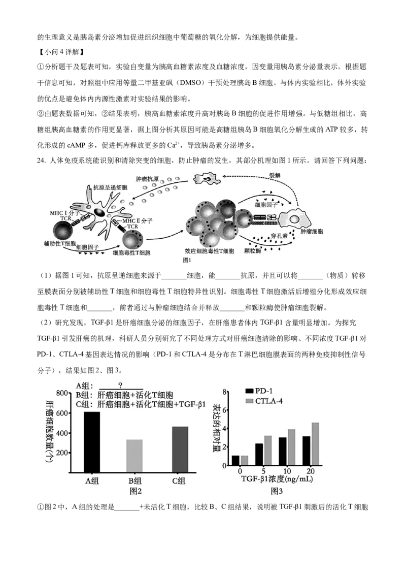 江苏省徐州市2024-2025学年高二上学期期中考试生物试题Word版含解析_2024-2025高二（7-7月题库）_2024年12月试卷_1214江苏省徐州市2024-2025学年高二上学期期中考试