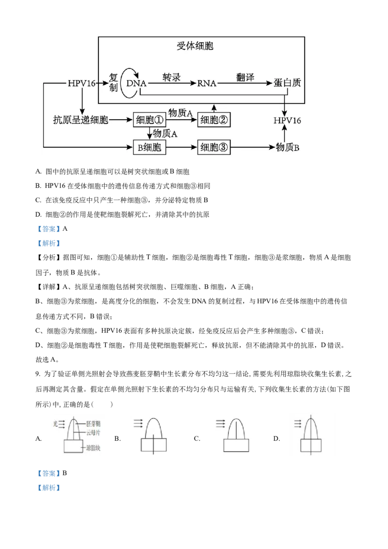 江苏省徐州市2024-2025学年高二上学期期中考试生物试题Word版含解析_2024-2025高二（7-7月题库）_2024年12月试卷_1214江苏省徐州市2024-2025学年高二上学期期中考试