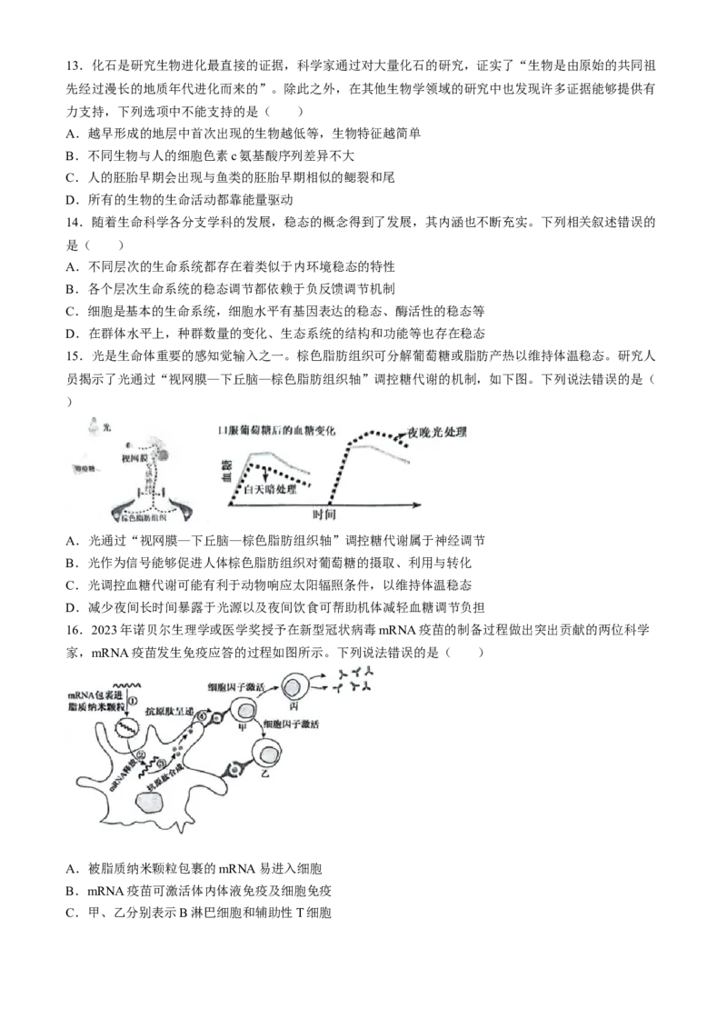 安徽省省十联考（合肥一中）2024年高二下学期7月期末生物试题_2024-2025高三（6-6月题库）_2024年07月试卷_240707安徽省省十联考2024年高二下学期7月期末