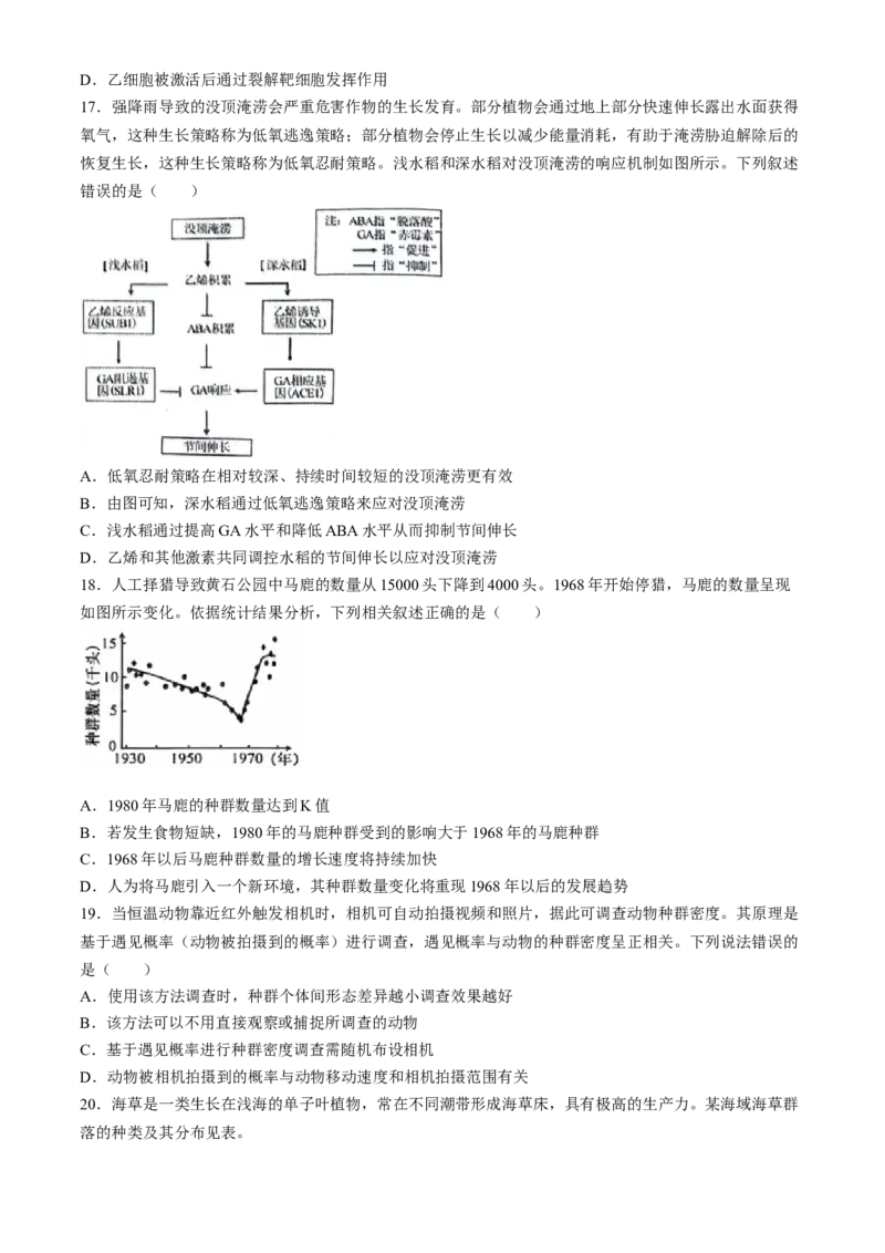 安徽省省十联考（合肥一中）2024年高二下学期7月期末生物试题_2024-2025高三（6-6月题库）_2024年07月试卷_240707安徽省省十联考2024年高二下学期7月期末