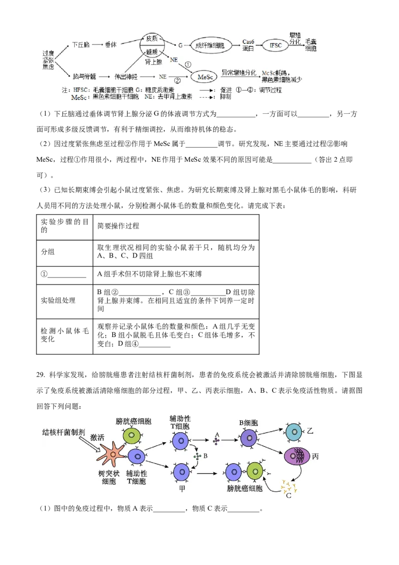 江苏省宿迁市2024-2025学年高二上学期11月期中生物试题Word版无答案_2024-2025高二（7-7月题库）_2024年12月试卷_1217江苏省宿迁市2024-2025学年高二上学期11月期中考试