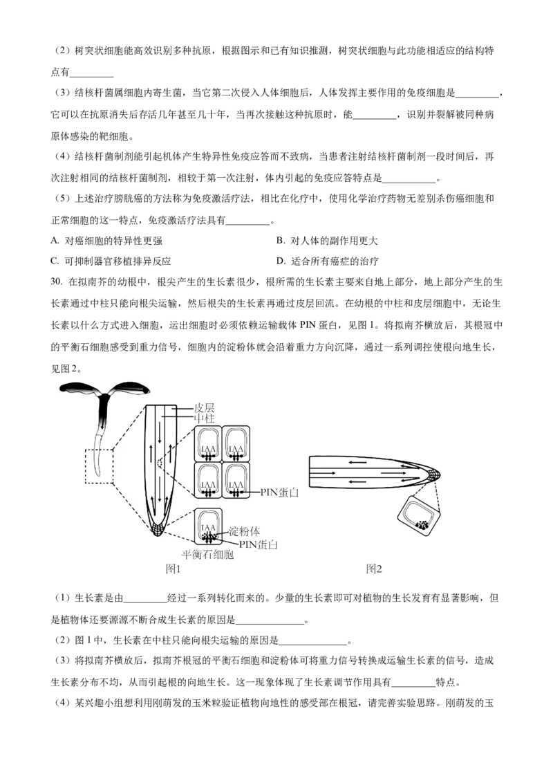 江苏省宿迁市2024-2025学年高二上学期11月期中生物试题Word版无答案_2024-2025高二（7-7月题库）_2024年12月试卷_1217江苏省宿迁市2024-2025学年高二上学期11月期中考试