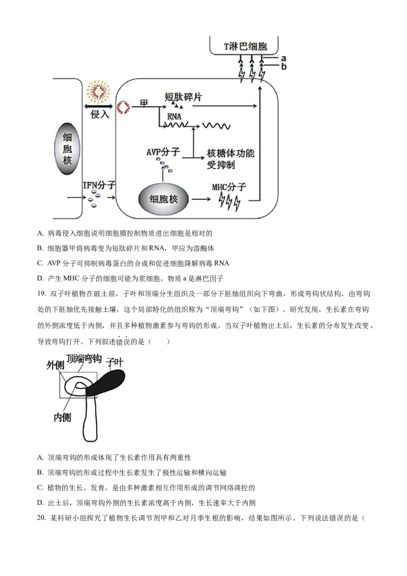 江苏省宿迁市2024-2025学年高二上学期11月期中生物试题Word版无答案_2024-2025高二（7-7月题库）_2024年12月试卷_1217江苏省宿迁市2024-2025学年高二上学期11月期中考试