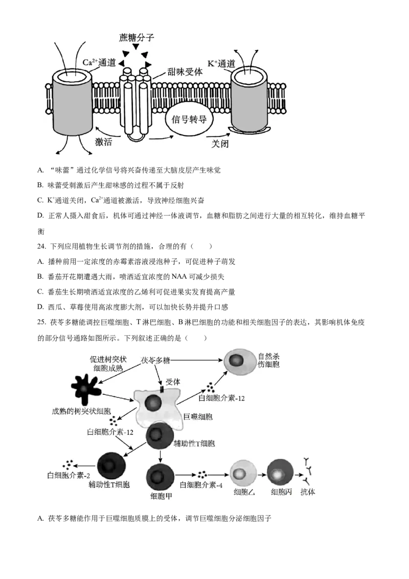 江苏省宿迁市2024-2025学年高二上学期11月期中生物试题Word版无答案_2024-2025高二（7-7月题库）_2024年12月试卷_1217江苏省宿迁市2024-2025学年高二上学期11月期中考试
