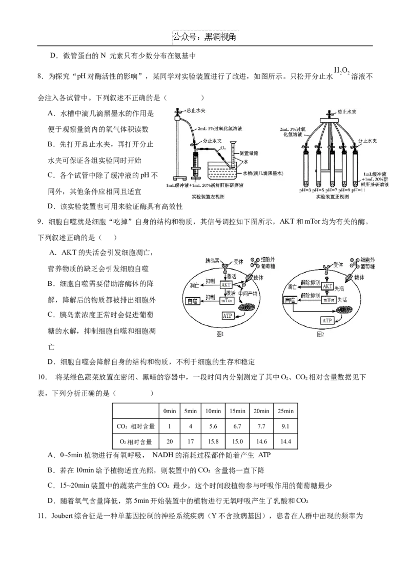 广东省深圳市高级中学2024-2025学年高三上学期10月第一次诊断测试生物Word版含答案_2024-2025高三（6-6月题库）_2024年10月试卷