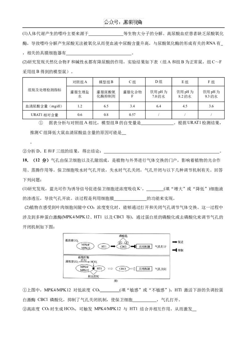 广东省深圳市高级中学2024-2025学年高三上学期10月第一次诊断测试生物Word版含答案_2024-2025高三（6-6月题库）_2024年10月试卷