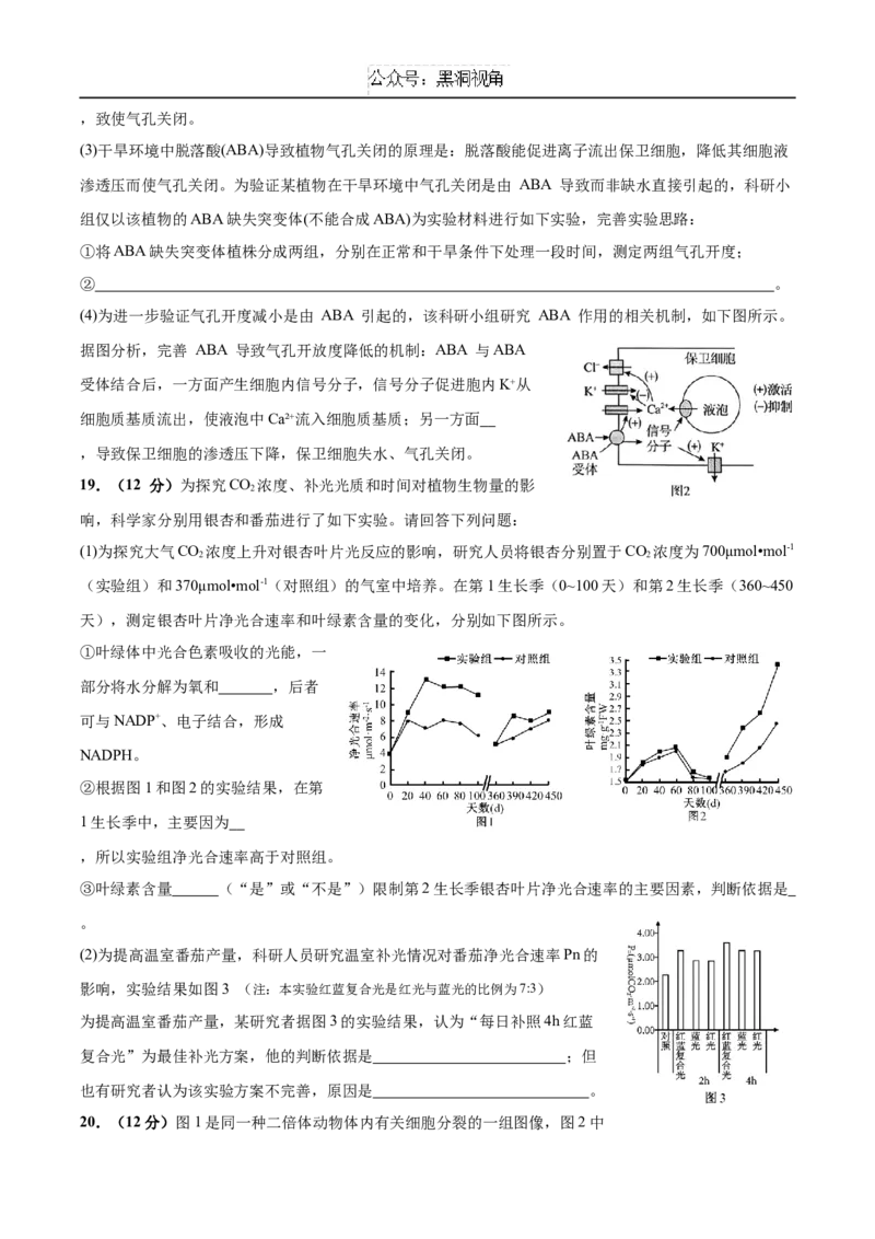 广东省深圳市高级中学2024-2025学年高三上学期10月第一次诊断测试生物Word版含答案_2024-2025高三（6-6月题库）_2024年10月试卷