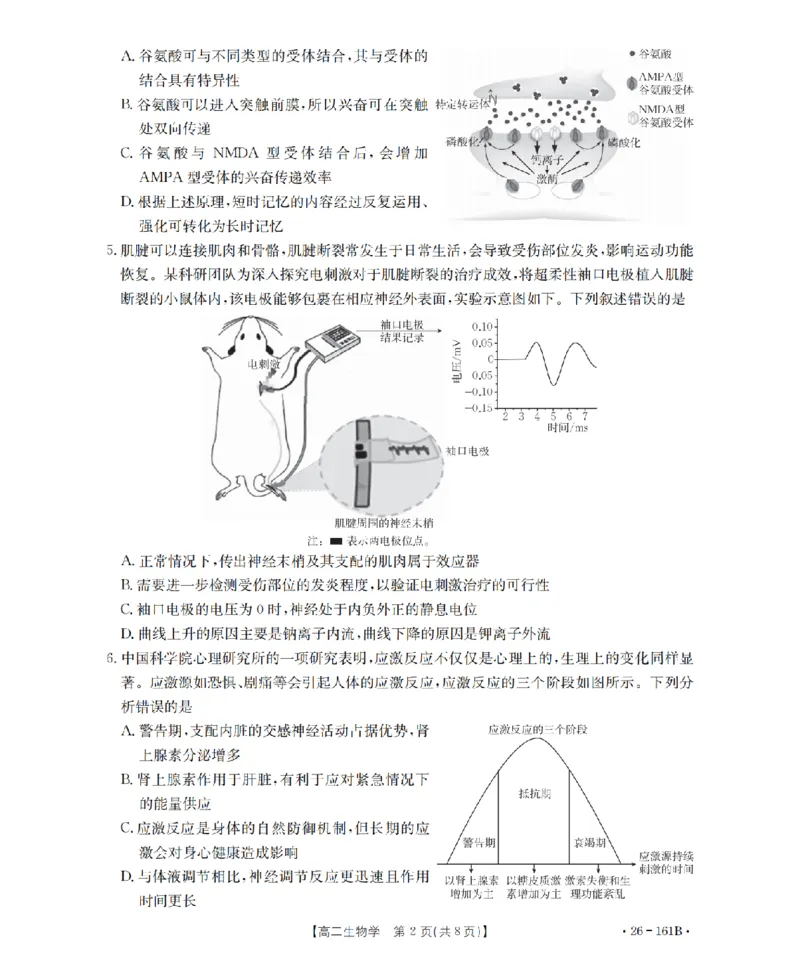 安徽省2025-2026学年高二上学期12月月考（26-161B）生物_2024-2025高二（7-7月题库）_2026年1月高二_260108金太阳&middot;安徽省2025-2026学年高二上学期12月月考（26-161B）（全）