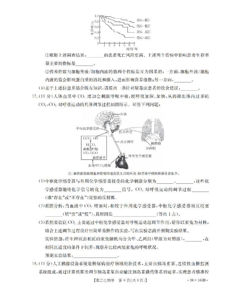 安徽省2025-2026学年高二上学期12月月考（26-161B）生物_2024-2025高二（7-7月题库）_2026年1月高二_260108金太阳&middot;安徽省2025-2026学年高二上学期12月月考（26-161B）（全）