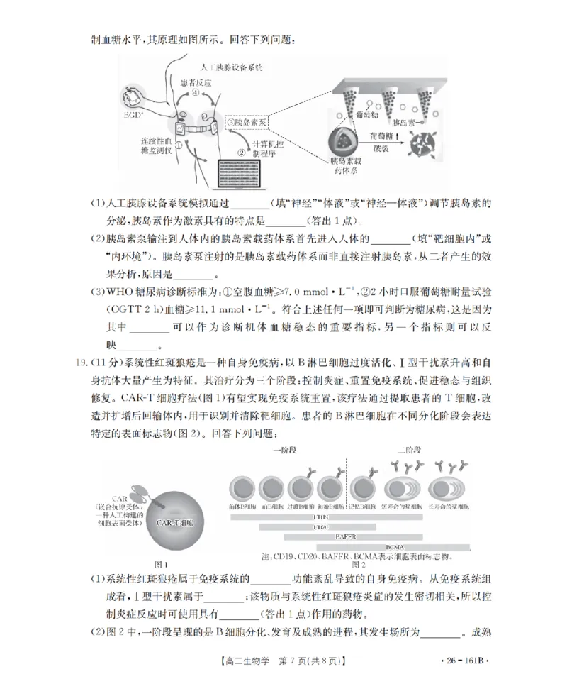 安徽省2025-2026学年高二上学期12月月考（26-161B）生物_2024-2025高二（7-7月题库）_2026年1月高二_260108金太阳&middot;安徽省2025-2026学年高二上学期12月月考（26-161B）（全）