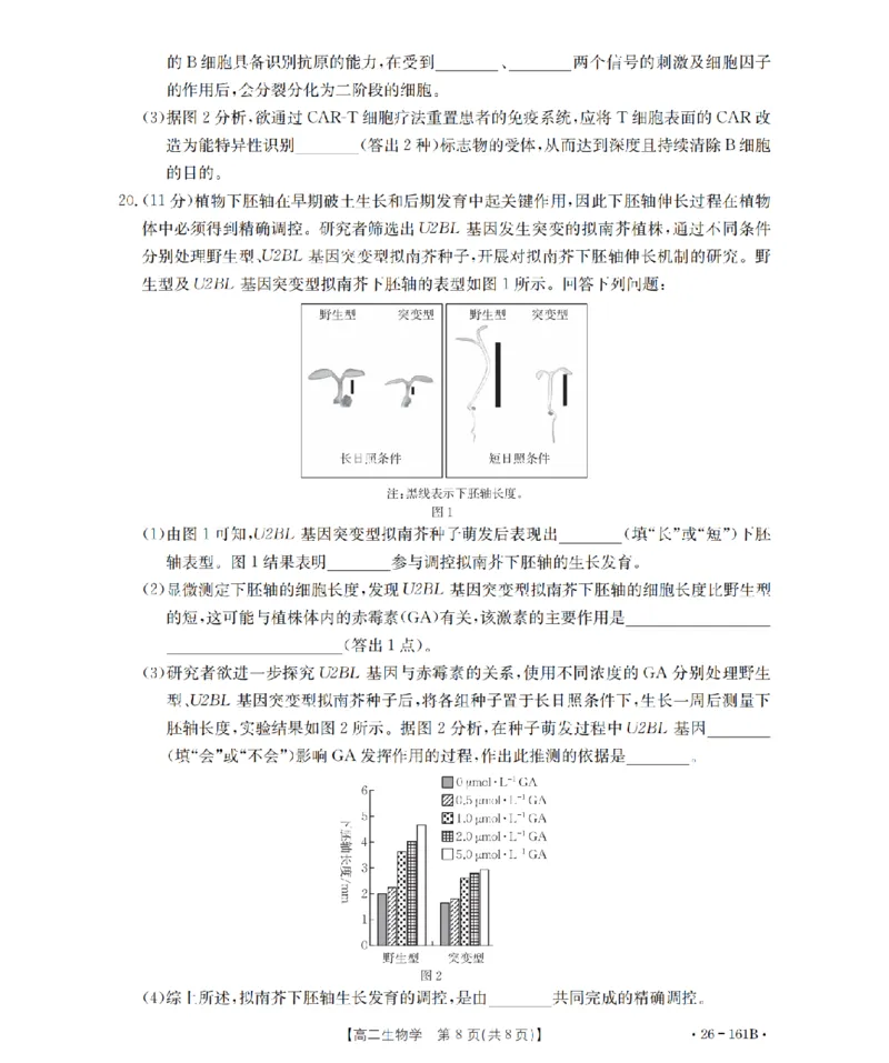 安徽省2025-2026学年高二上学期12月月考（26-161B）生物_2024-2025高二（7-7月题库）_2026年1月高二_260108金太阳&middot;安徽省2025-2026学年高二上学期12月月考（26-161B）（全）