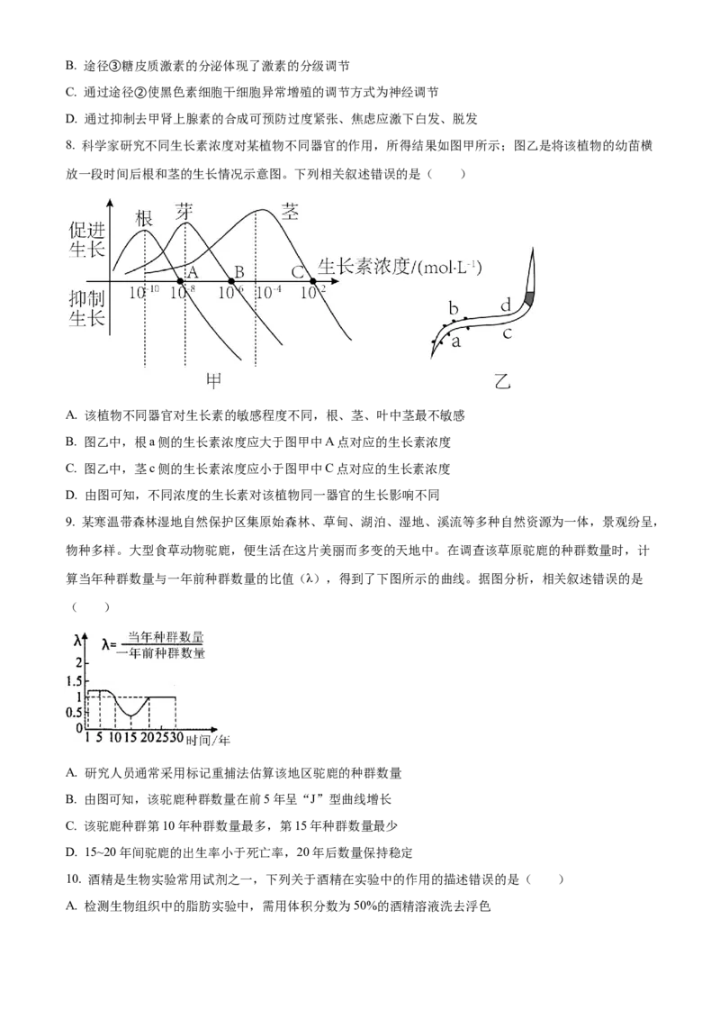 河南省漯河市2023-2024学年高二下学期期末考试生物Word版含解析_2024-2025高二（7-7月题库）_2024年08月试卷_0813河南省漯河市2023-2024学年高二下学期期末考试