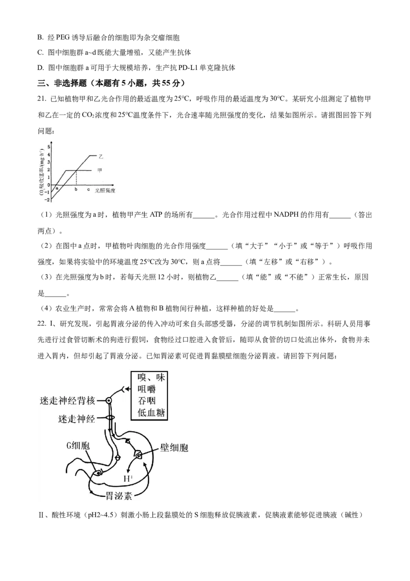 河南省漯河市2023-2024学年高二下学期期末考试生物Word版含解析_2024-2025高二（7-7月题库）_2024年08月试卷_0813河南省漯河市2023-2024学年高二下学期期末考试