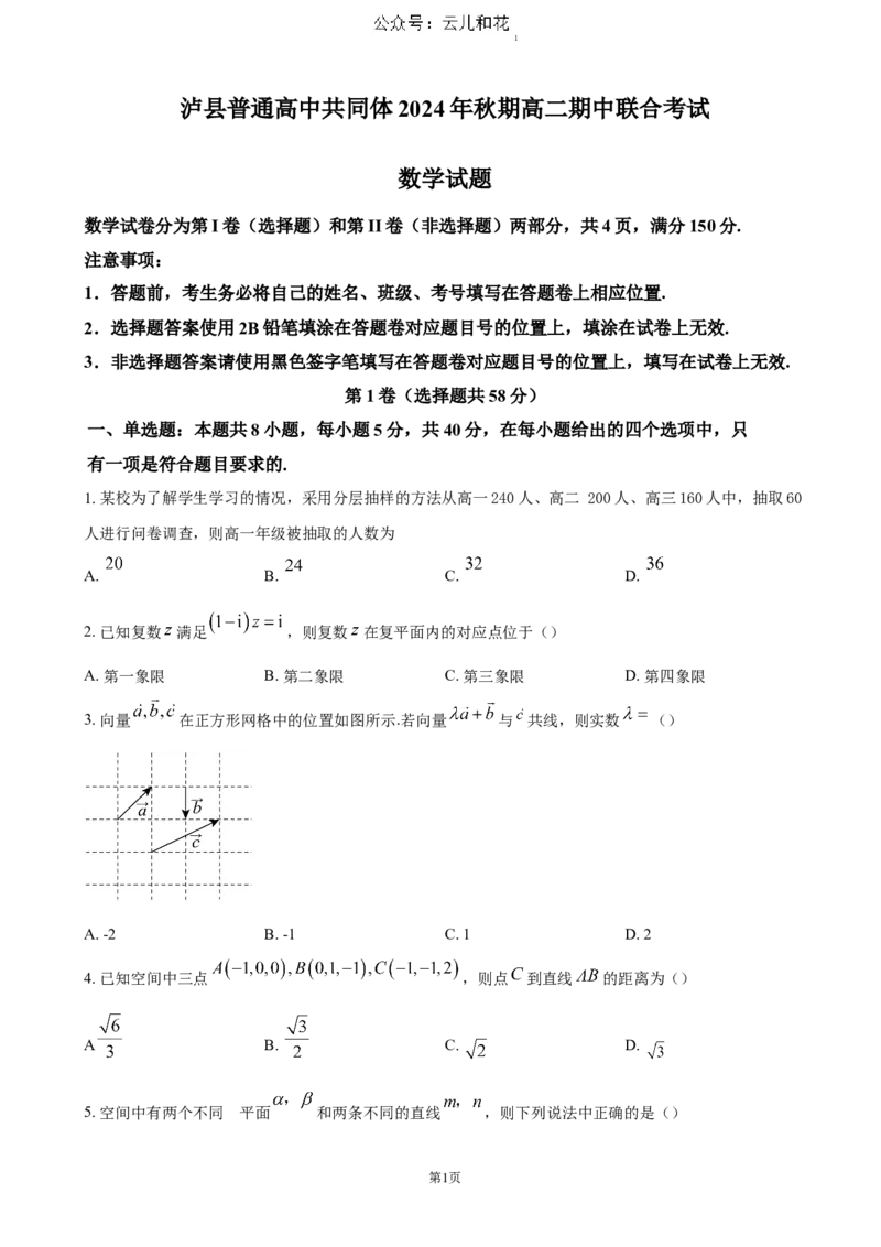 四川省泸州市泸县普通高中共同体2024-2025学年高二上学期11月期中考试数学（含答案）_2024-2025高二（7-7月题库）_2024年12月试卷
