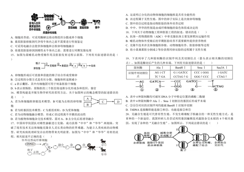 河南省周口市鹿邑县第二高级中学校2024-2025学年高二下学期4月月考生物学试题（含答案）_2024-2025高二（7-7月题库）_2025年04月试卷(1)