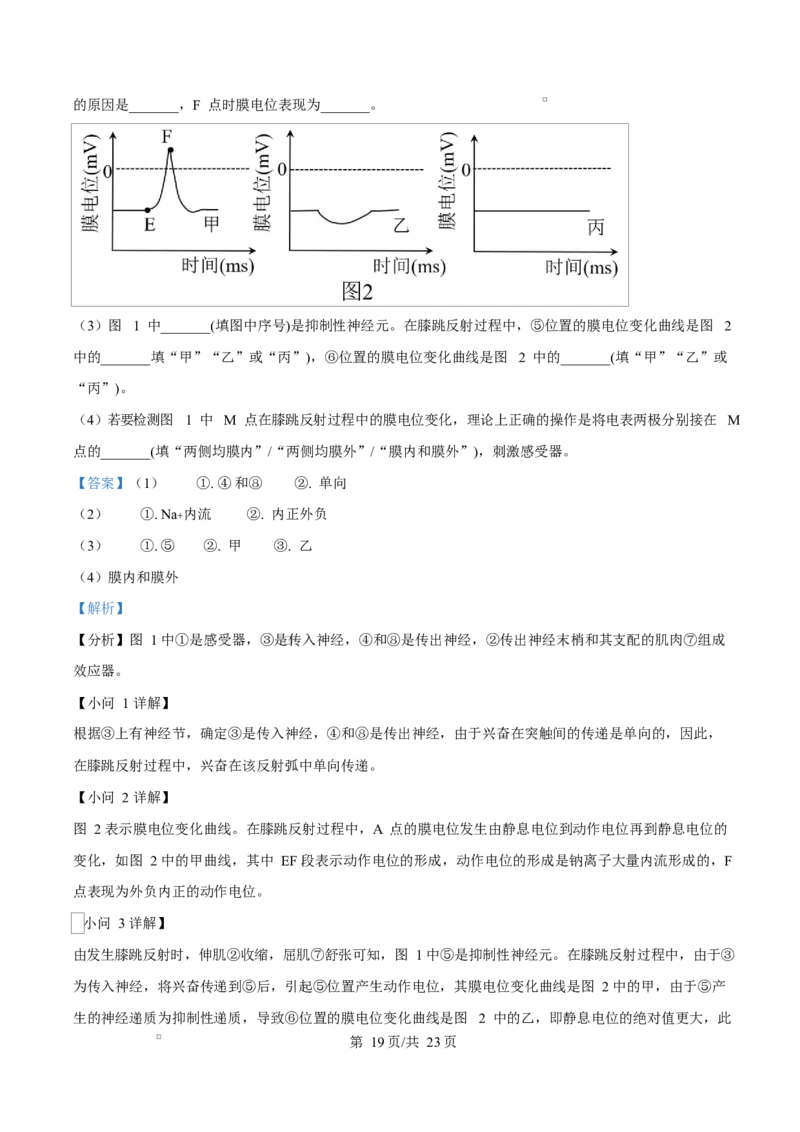 四川省成都外国语学校2025-2026学年高二上学期12月月考生物试题Word版含解析_2024-2025高二（7-7月题库）_2026年1月高二_260107四川省成都外国语学校2025-2026学年高二上学期12月月考