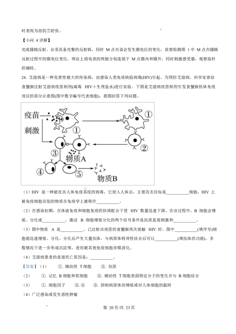 四川省成都外国语学校2025-2026学年高二上学期12月月考生物试题Word版含解析_2024-2025高二（7-7月题库）_2026年1月高二_260107四川省成都外国语学校2025-2026学年高二上学期12月月考