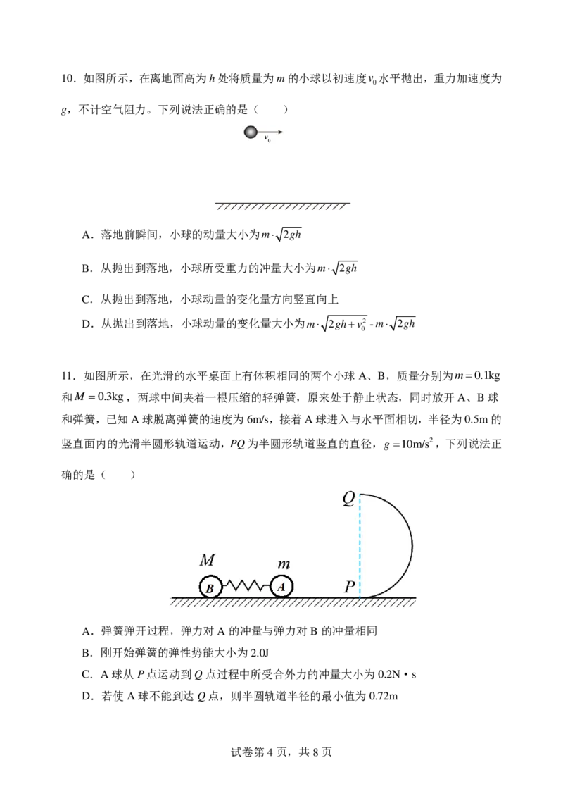 江苏省南京市五校联盟2024-2025学年高二上学期1月期末考试物理PDF版含答案_2024-2025高二（7-7月题库）_2025年03月试卷_0319江苏省南京市五校联盟2024-2025学年高二上学期1月期末考试