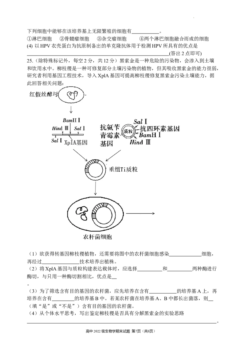 四川省安宁河联盟2023-2024学年高二下学期期末联考生物试题_2024-2025高三（6-6月题库）_2024年06月试卷_240621四川省安宁河联盟2023-2024学年高二下学期期末联考