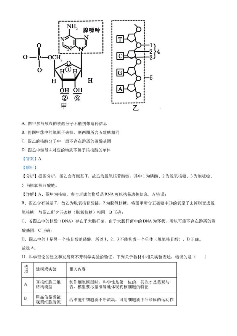 江西省宜春市丰城中学2023-2024学年高三上学期期中考试生物(1)_2023年11月_01每日更新_22号_2024届江西省宜春市丰城中学高三上学期期中考试