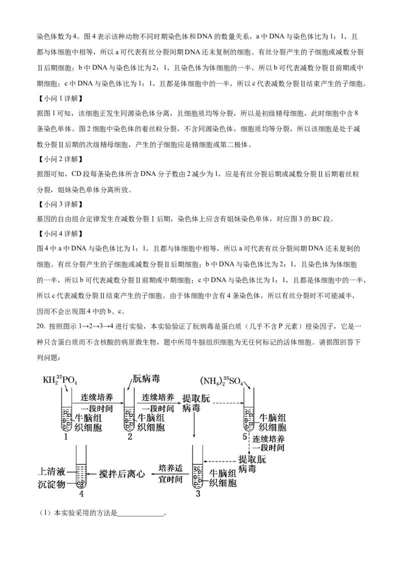 江西省宜春市丰城中学2023-2024学年高三上学期期中考试生物(1)_2023年11月_01每日更新_22号_2024届江西省宜春市丰城中学高三上学期期中考试