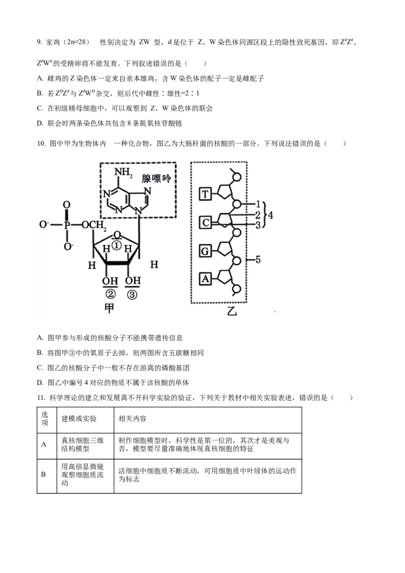 江西省宜春市丰城中学2023-2024学年高三上学期期中考试生物(1)_2023年11月_01每日更新_22号_2024届江西省宜春市丰城中学高三上学期期中考试