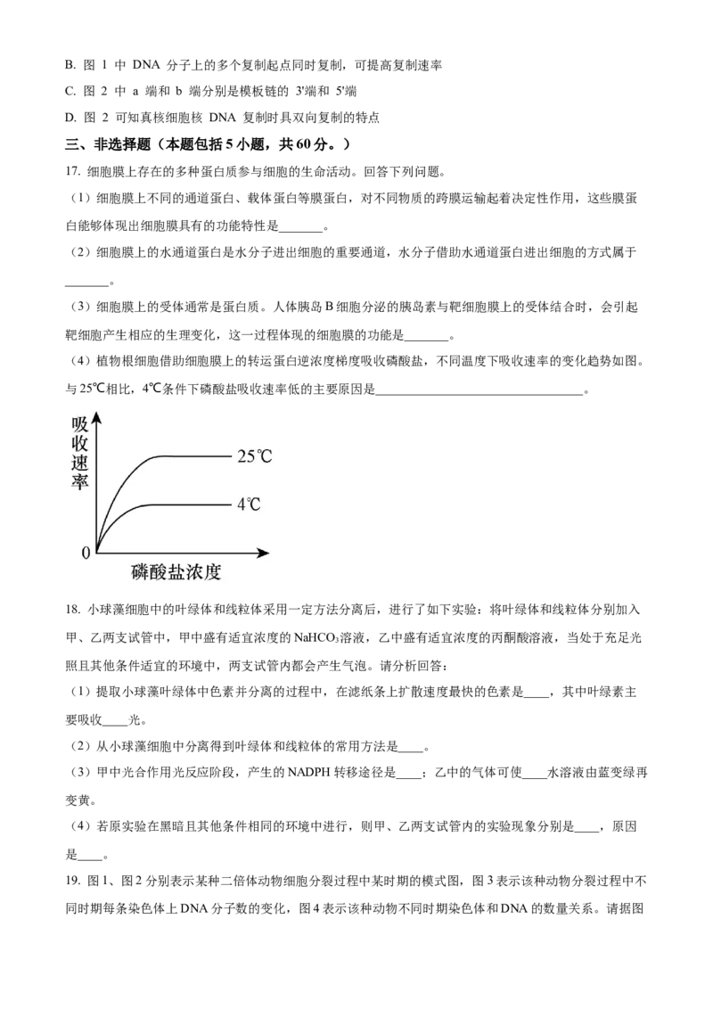 江西省宜春市丰城中学2023-2024学年高三上学期期中考试生物(1)_2023年11月_01每日更新_22号_2024届江西省宜春市丰城中学高三上学期期中考试