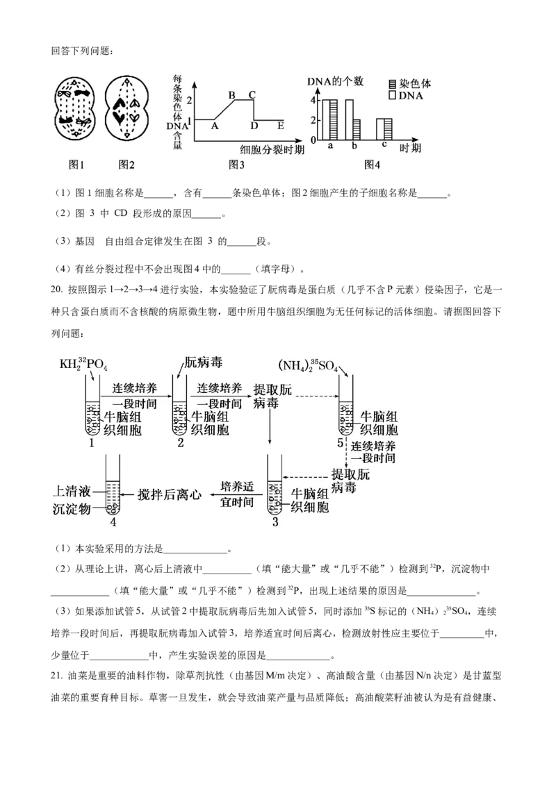 江西省宜春市丰城中学2023-2024学年高三上学期期中考试生物(1)_2023年11月_01每日更新_22号_2024届江西省宜春市丰城中学高三上学期期中考试
