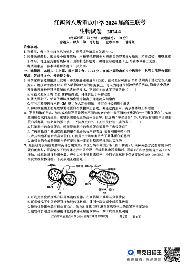 生物_2024年4月_01按日期_3号_2024届江西省八所重点中学高三下学期4月联考_2024届江西省八所重点中学高三下学期4月联考生物
