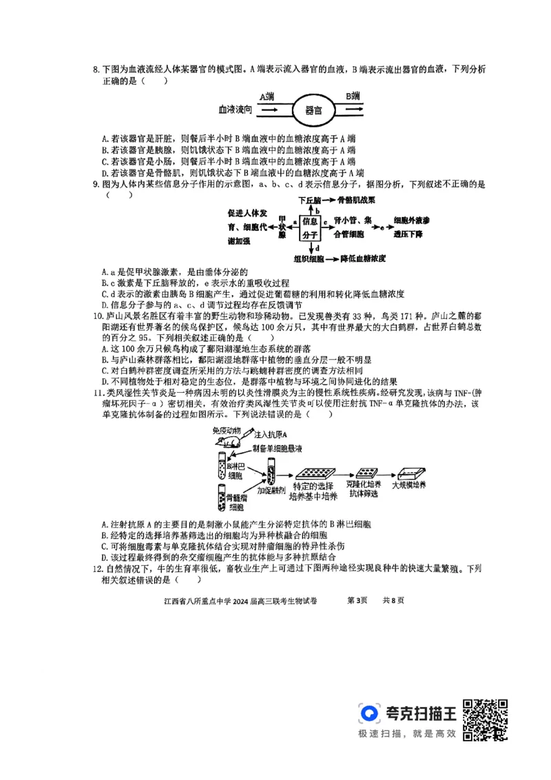 生物_2024年4月_01按日期_3号_2024届江西省八所重点中学高三下学期4月联考_2024届江西省八所重点中学高三下学期4月联考生物