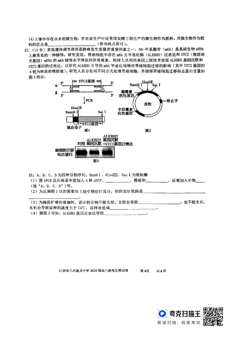 生物_2024年4月_01按日期_3号_2024届江西省八所重点中学高三下学期4月联考_2024届江西省八所重点中学高三下学期4月联考生物