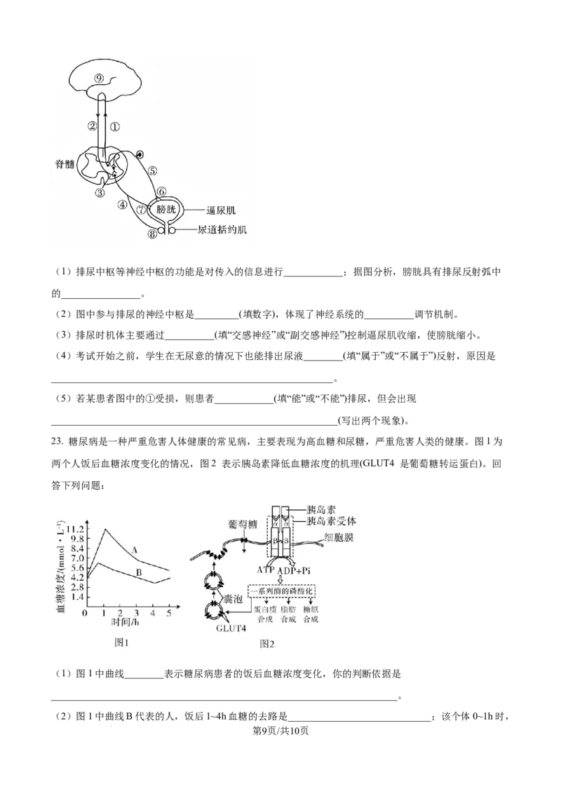 精品解析：河北省保定市部分示范高中2025-2026学年高二上学期10月月考生物试题（原卷版）_2025年10月高二试卷_251018河北省保定市部分示范高中2025-2026学年高二上学期10月月考