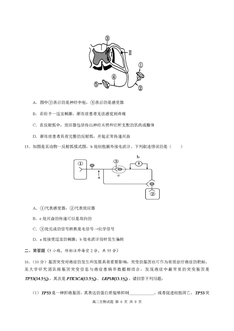 重庆市涪陵第一中学校2025-2026学年上学期高二第一次月考生物试题_2024-2025高二（7-7月题库）_2026年1月高二_260102重庆市涪陵第一中学校2025-2026学年高二上学期第一次月考（全）