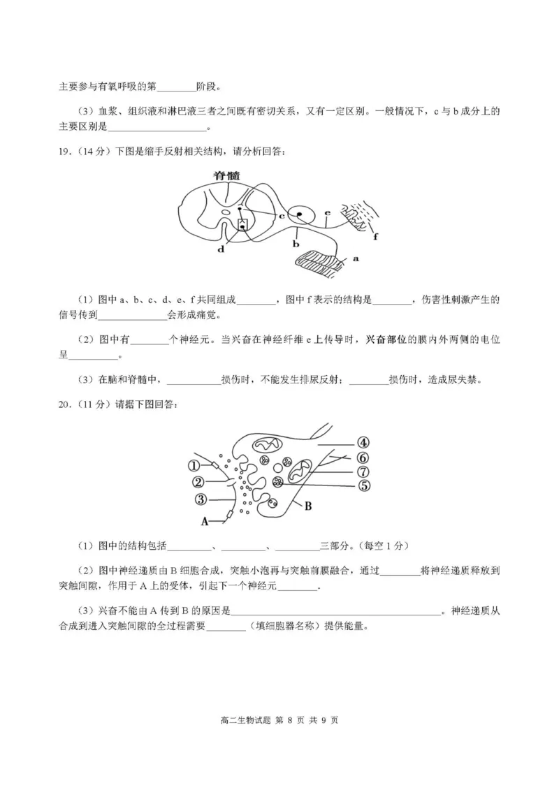 重庆市涪陵第一中学校2025-2026学年上学期高二第一次月考生物试题_2024-2025高二（7-7月题库）_2026年1月高二_260102重庆市涪陵第一中学校2025-2026学年高二上学期第一次月考（全）