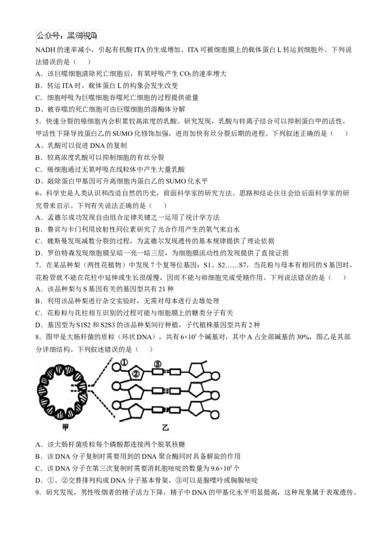 辽宁省沈阳市郊联体2024-2025学年高三上学期11月期中生物试题（含答案）_2024-2025高三（6-6月题库）_2024年11月试卷_1117辽宁省沈阳市郊联体2024-2025学年高三上学期11月期中（全科）