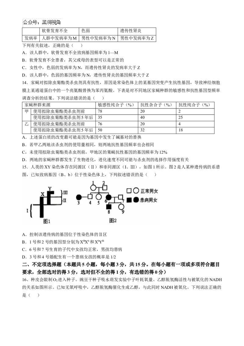 辽宁省沈阳市郊联体2024-2025学年高三上学期11月期中生物试题（含答案）_2024-2025高三（6-6月题库）_2024年11月试卷_1117辽宁省沈阳市郊联体2024-2025学年高三上学期11月期中（全科）