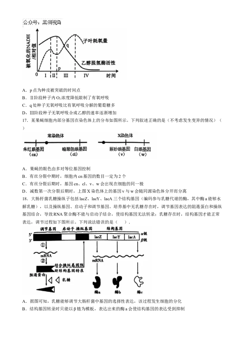 辽宁省沈阳市郊联体2024-2025学年高三上学期11月期中生物试题（含答案）_2024-2025高三（6-6月题库）_2024年11月试卷_1117辽宁省沈阳市郊联体2024-2025学年高三上学期11月期中（全科）