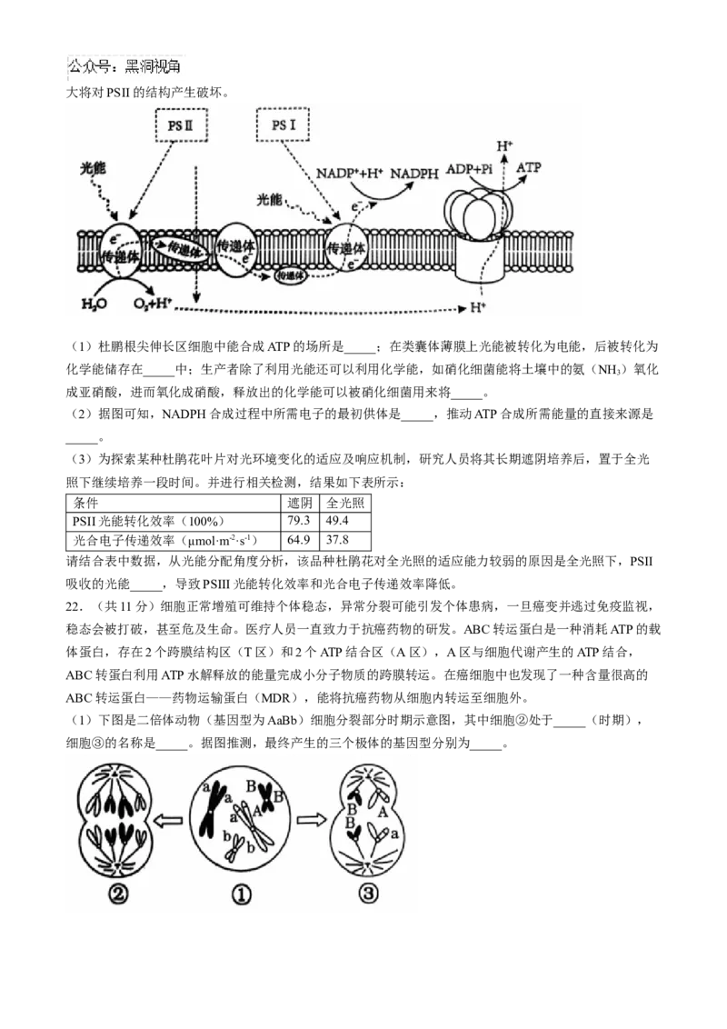 辽宁省沈阳市郊联体2024-2025学年高三上学期11月期中生物试题（含答案）_2024-2025高三（6-6月题库）_2024年11月试卷_1117辽宁省沈阳市郊联体2024-2025学年高三上学期11月期中（全科）