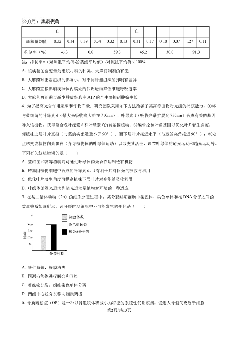 甘肃省2024-2025学年高三上学期11月期中生物试题_2024-2025高三（6-6月题库）_2024年11月试卷_1112甘肃省2024-2025学年高三上学期期中考试